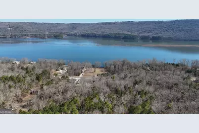 0 Lookout Mountain Drive #TRACT 232, Scottsboro, AL 35769 - Photo 17