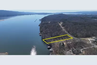 0 Lookout Mountain Drive #TRACT 232, Scottsboro, AL 35769 - Photo 19