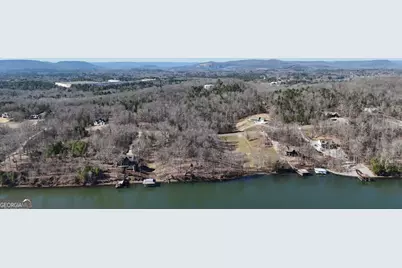 0 Lookout Mountain Drive #TRACT 232, Scottsboro, AL 35769 - Photo 3