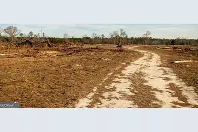 2128 Bay Springs Road, Adrian, GA 31002 - Photo 5