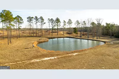 2128 Bay Springs Road, Adrian, GA 31002 - Photo 19