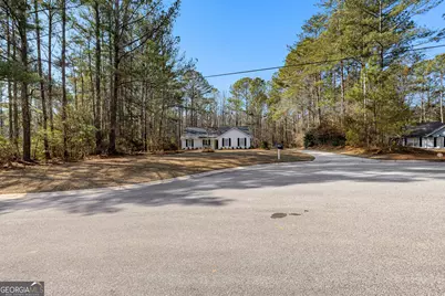 20 Briarwood Place, Newnan, GA 30265 - Photo 3