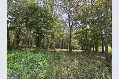 42 Lookout Point, Toccoa, GA 30577 - Photo 7