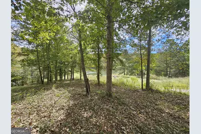 42 Lookout Point, Toccoa, GA 30577 - Photo 15