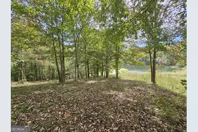 42 Lookout Point, Toccoa, GA 30577 - Photo 13