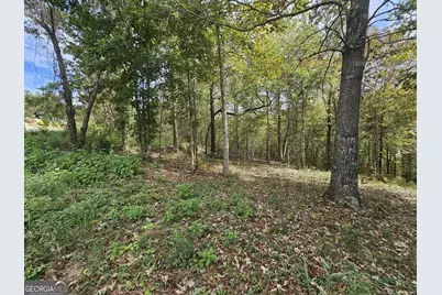 42 Lookout Point, Toccoa, GA 30577 - Photo 9