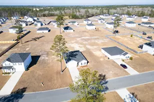 291 Morgan Fld Blvd NE, Ludowici, GA 31316 - Photo 23