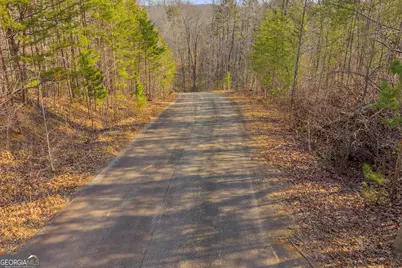 0 Planters Creek, Baldwin, GA 30511 - Photo 1