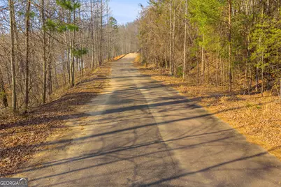 0 Planters Creek, Baldwin, GA 30511 - Photo 7