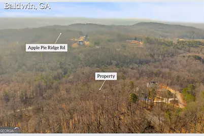 0 Planters Creek, Baldwin, GA 30511 - Photo 3