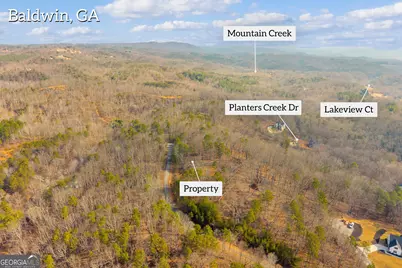 0 Planters Pointe Drive, Baldwin, GA 30511 - Photo 3