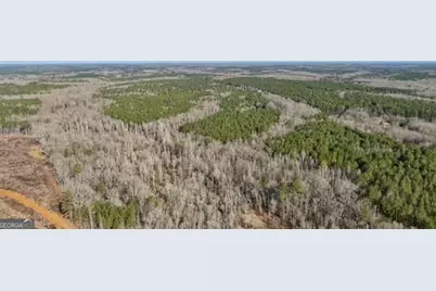000 Double Bridges Rd., Madison, GA 30650 - Photo 11