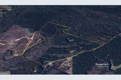 000 Double Bridges Rd., Madison, GA 30650 - Photo 17