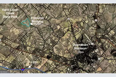 000 Double Bridges Rd., Madison, GA 30650 - Photo 19