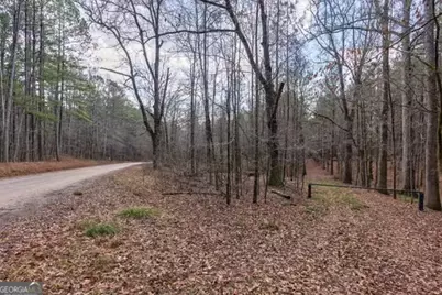 000 Double Bridges Rd., Madison, GA 30650 - Photo 7