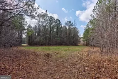 000 Double Bridges Rd., Madison, GA 30650 - Photo 5