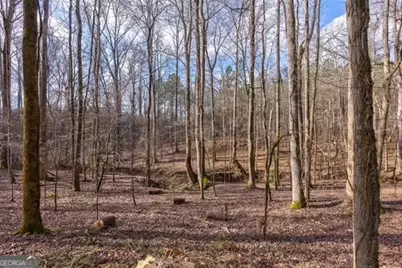 000 Double Bridges Rd., Madison, GA 30650 - Photo 9