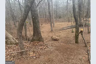 19 Allison Road, Moreland, GA 30259 - Photo 75