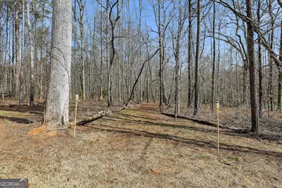 19 Allison Road, Moreland, GA 30259 - Photo 71