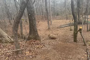 19 Allison Rd, Moreland, GA 30259 - Photo 17