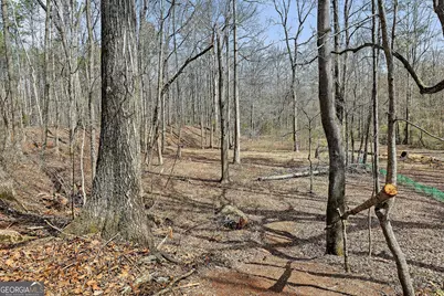 19 Allison Road, Moreland, GA 30259 - Photo 73