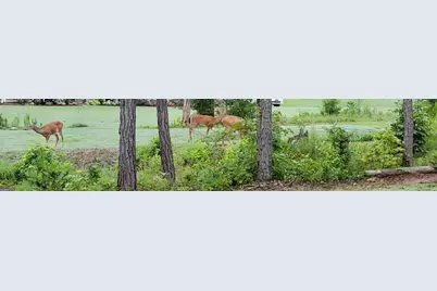 19 Allison Road, Moreland, GA 30259 - Photo 19