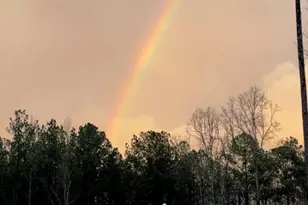 19 Allison Rd, Moreland, GA 30259 - Photo 21