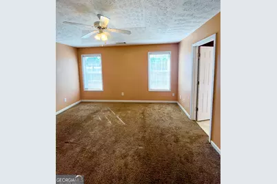 11473 Vinea Way, Hampton, GA 30228 - Photo 17