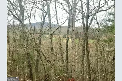 Lot 9 Sunrise Court, Blue Ridge, GA 30513 - Photo 1