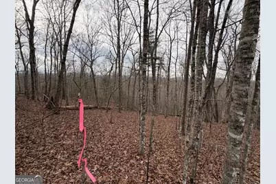 Lot 9 Sunrise Court, Blue Ridge, GA 30513 - Photo 9