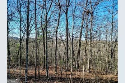 Lot 9 Sunrise Court, Blue Ridge, GA 30513 - Photo 5