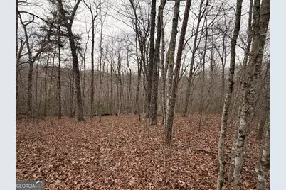 Lot 9 Sunrise Court, Blue Ridge, GA 30513 - Photo 11