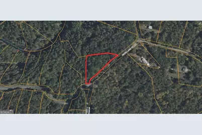 0 Roaring Forks Lane, Ellijay, GA 30540 - Photo 9