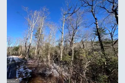 Lot 10 Kennedys Court, Blairsville, GA 30512 - Photo 9