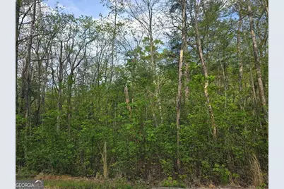 Lot 10 Kennedys Court, Blairsville, GA 30512 - Photo 3