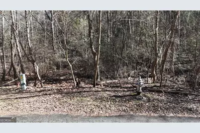 0 W River Trace LOT # 48, Ellijay, GA 30536 - Photo 3