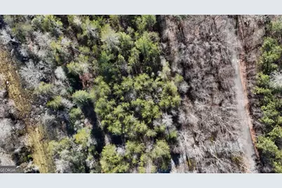 0 W River Trace LOT # 48, Ellijay, GA 30536 - Photo 7