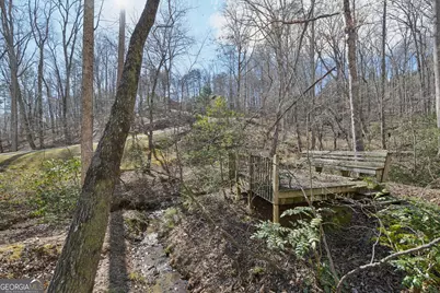 99 Madeline Anthony Road, Dahlonega, GA 30533 - Photo 91