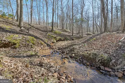 99 Madeline Anthony Road, Dahlonega, GA 30533 - Photo 93