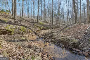 99 Madeline Anthony Rd, Dahlonega, GA 30533 - Photo 93