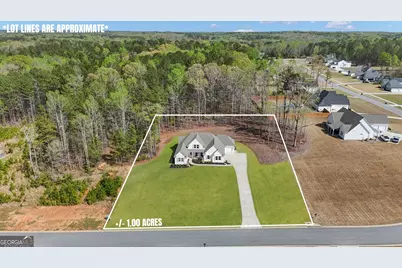 215 Greyfairs Avenue, Senoia, GA 30276 - Photo 3