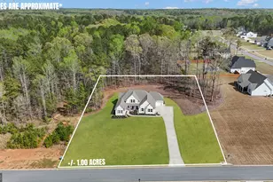 215 Grey Fairs Ave, Senoia, GA 30276 - Photo 3