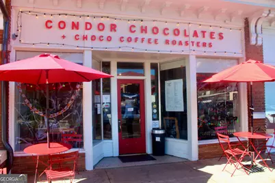 150 Gran Ellen Drive, Athens, GA 30606 - Photo 61