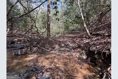 0 Mountain Lion Trail, Helen, GA 30545 - Photo 25