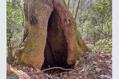 0 Mountain Lion Trail, Helen, GA 30545 - Photo 11