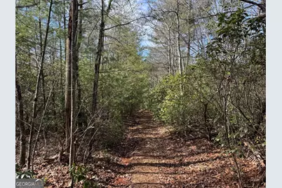 0 Mountain Lion Trail, Helen, GA 30545 - Photo 17