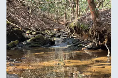 0 Mountain Lion Trail, Helen, GA 30545 - Photo 33