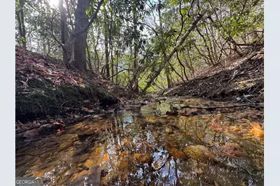 0 Mountain Lion Trail, Helen, GA 30545 - Photo 19