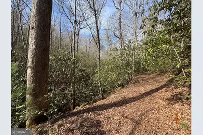 0 Mountain Lion Trail, Helen, GA 30545 - Photo 37
