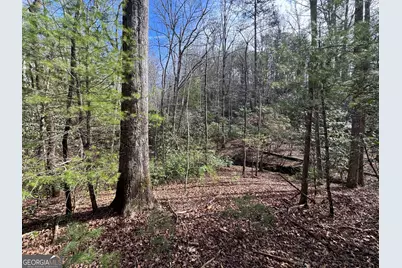 0 Mountain Lion Trail, Helen, GA 30545 - Photo 41